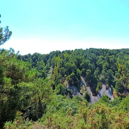 Le Bourgneuf Vakantiehuis *