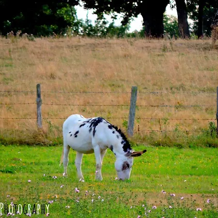 Vakantiehuis Le Bourgneuf *