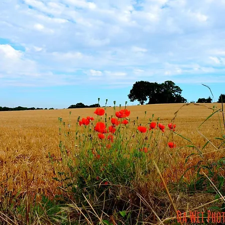 Le Bourgneuf Vakantiehuis *