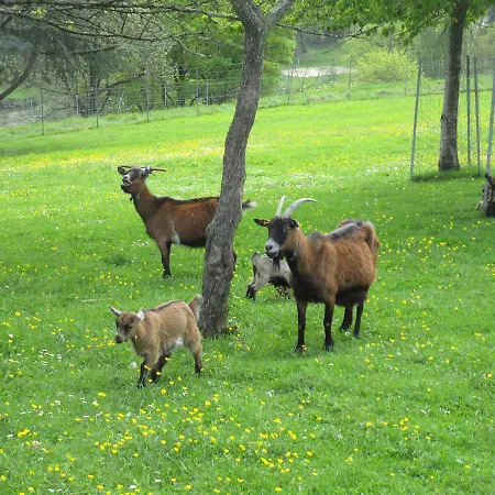 Le Bourgneuf * Fresnay-sur-Sarthe