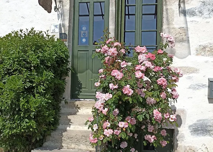 Le Bourgneuf * 萨尔特河畔弗莱斯涅