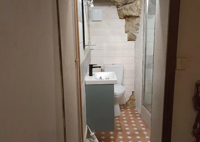 度假居 Le Bourgneuf 萨尔特河畔弗莱斯涅