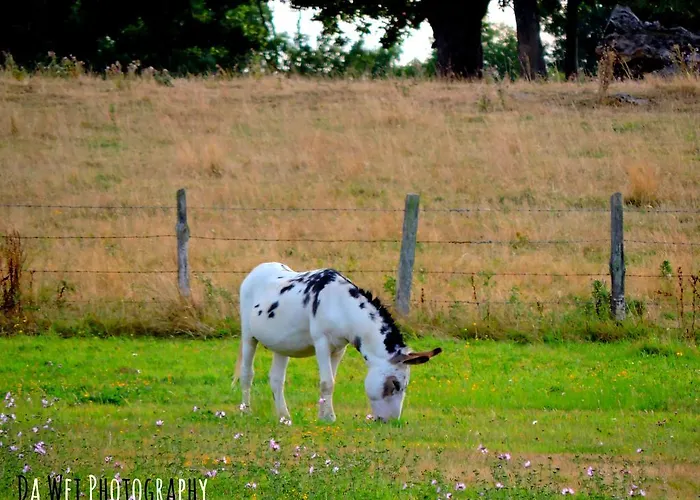 度假居 Le Bourgneuf *