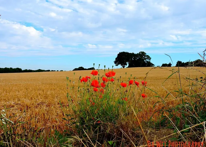 Le Bourgneuf 度假居 *