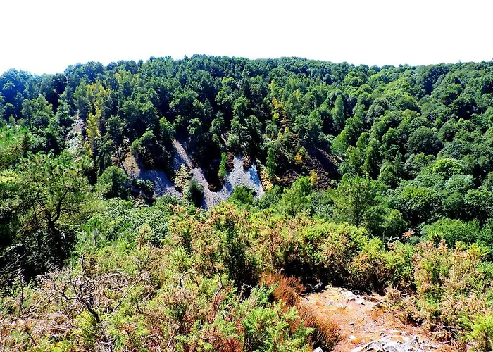 度假居 Le Bourgneuf 萨尔特河畔弗莱斯涅