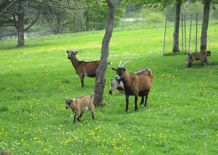 Le Bourgneuf * 萨尔特河畔弗莱斯涅
